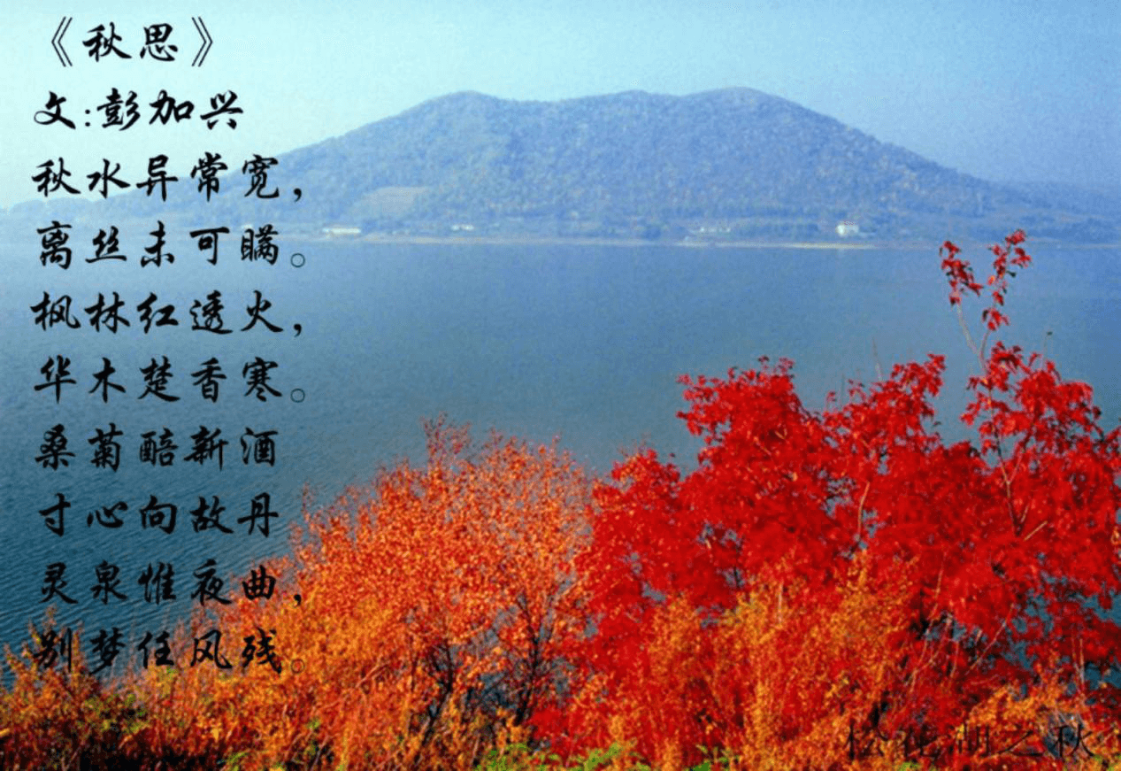 秋思  